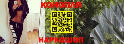 наркотики Новодвинск