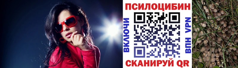 Галлюциногенные грибы GOLDEN TEACHER  KRAKEN как войти  Пенза 