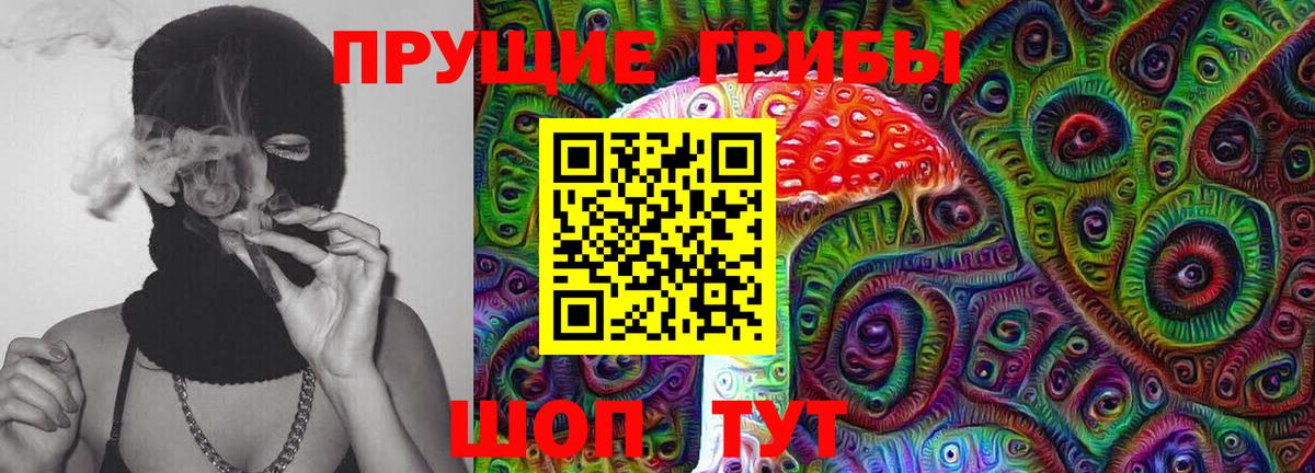 Псилоцибиновые грибы GOLDEN TEACHER Пенза