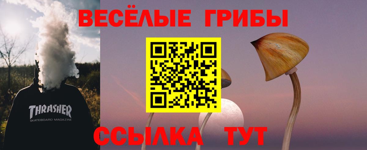 Пенза  Псилоцибиновые грибы прущие грибы  Галлюциногенные грибы Psilocybine cubensis  Вход с VPN 